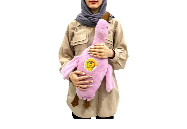 عروسک پولیشی غاز کامفورتر سایز ۲